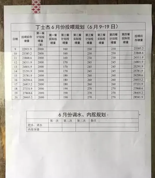 大北农膨化料8103喂草鱼阶段性效果分享