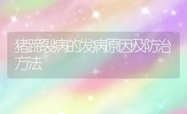 猪蹄裂病的发病原因及防治方法 | 家畜养殖