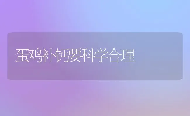 蛋鸡补钙要科学合理 | 家禽养殖