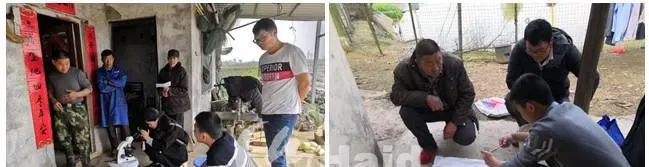 危急！一大波鱼病即将来袭，您的鱼塘顶的住吗？