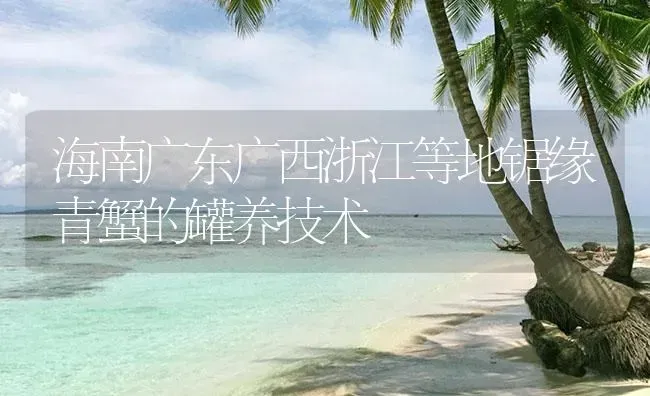 海南广东广西浙江等地锯缘青蟹的罐养技术 | 海水养殖