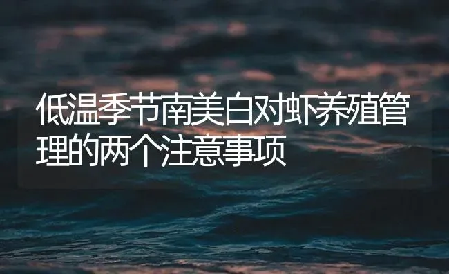 低温季节南美白对虾养殖管理的两个注意事项 | 海水养殖