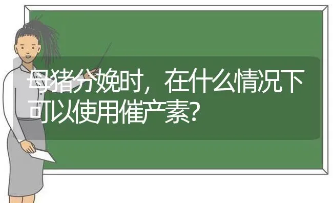 母猪分娩时，在什么情况下可以使用催产素？ | 家畜养殖