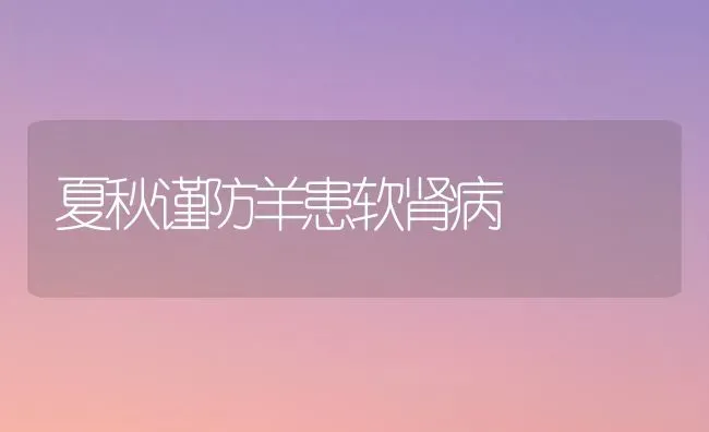 夏秋谨防羊患软肾病 | 家畜养殖