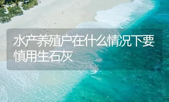 水产养殖户在什么情况下要慎用生石灰 | 养殖病虫害防治