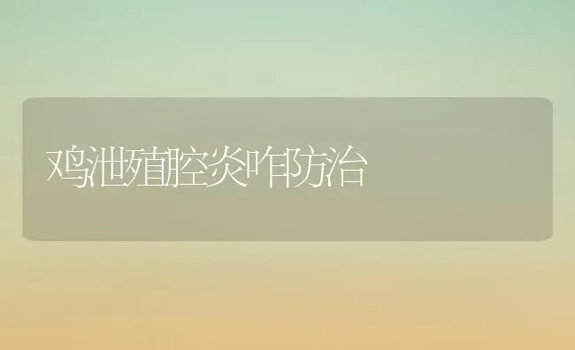 鸡泄殖腔炎咋防治 | 家禽养殖