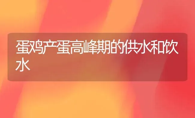 蛋鸡产蛋高峰期的供水和饮水 | 家禽养殖