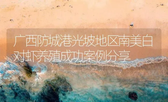 广西防城港光坡地区南美白对虾养殖成功案例分享 | 海水养殖