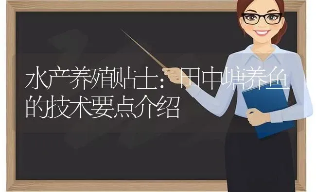 水产养殖贴士：田中塘养鱼的技术要点介绍 | 动物养殖百科