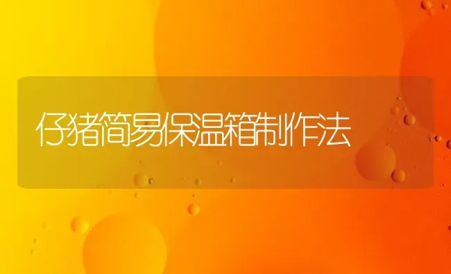 仔猪简易保温箱制作法 | 家畜养殖