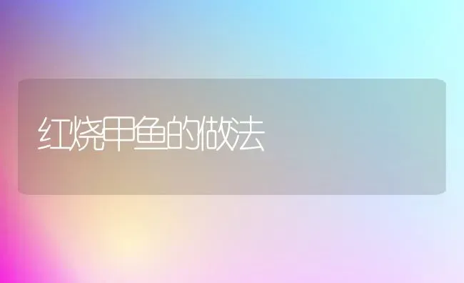 红烧甲鱼的做法 | 动物养殖百科