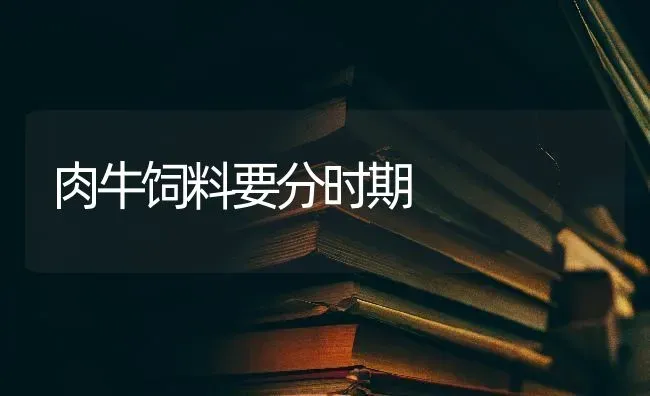 肉牛饲料要分时期 | 动物养殖饲料