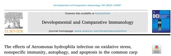 论文解读-嗜水气单胞菌感染对鲤鱼氧化应激、非特异性免疫、自噬和凋亡的影响