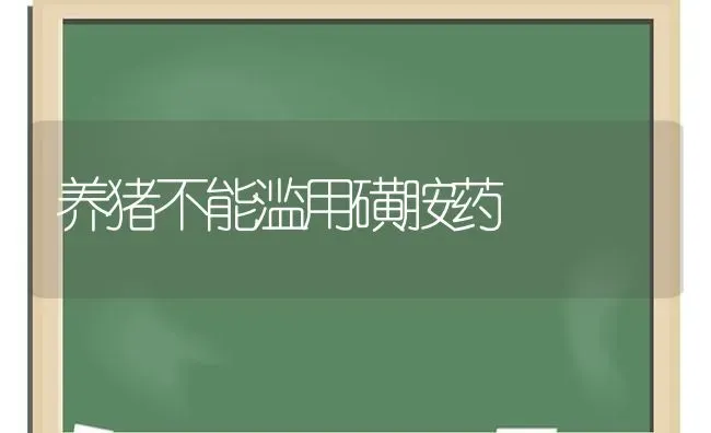 养猪不能滥用磺胺药 | 养殖病虫害防治