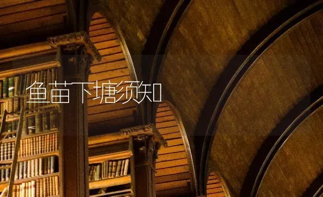 鱼苗下塘须知 | 淡水养殖