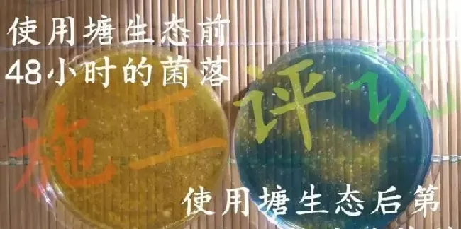 该怎样选择和使用消毒药