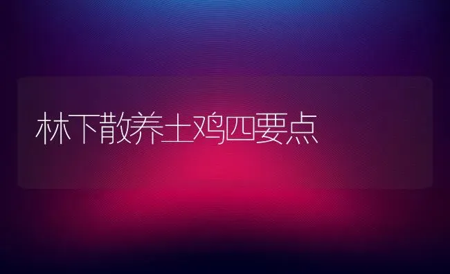 林下散养土鸡四要点 | 家禽养殖