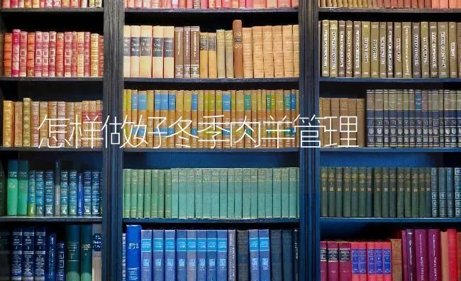 怎样做好冬季肉羊管理 | 家畜养殖