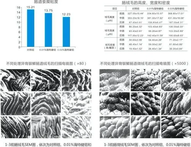 海特健对异育银鲫肠道健康的影响