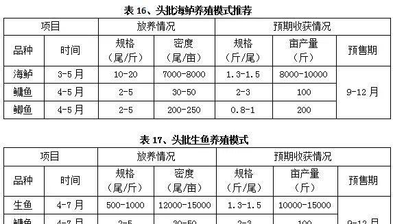 鲫鱼黑鱼加州鲈黄颡鱼海鲈鱼石斑鱼养殖模式推荐