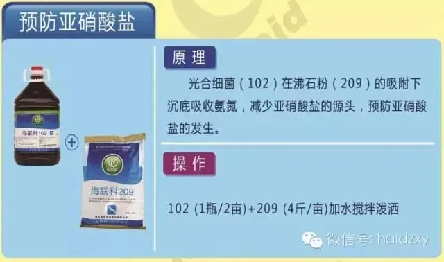 红罗非鱼养殖池塘亚硝酸盐高PH值高的处理方案