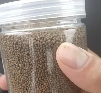 北方大棚鮰鱼苗养殖效果分享