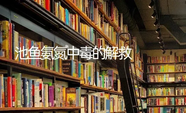 池鱼氨氮中毒的解救 | 淡水养殖