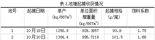 “渔光一体”养黄颡鱼的优势效益凸显