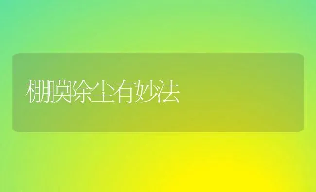 几种常用饲料作物的收割期及青贮要点 | 动物养殖饲料