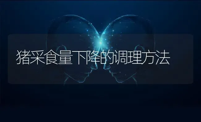 猪采食量下降的调理方法 | 家畜养殖