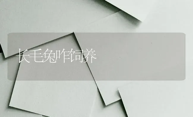 长毛兔咋饲养 | 家畜养殖