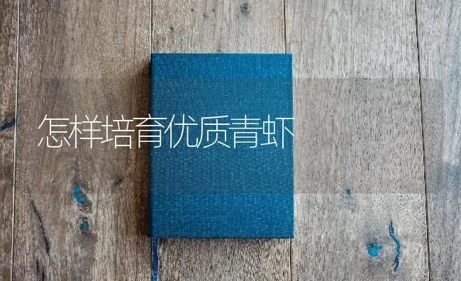 怎样培育优质青虾 | 淡水养殖
