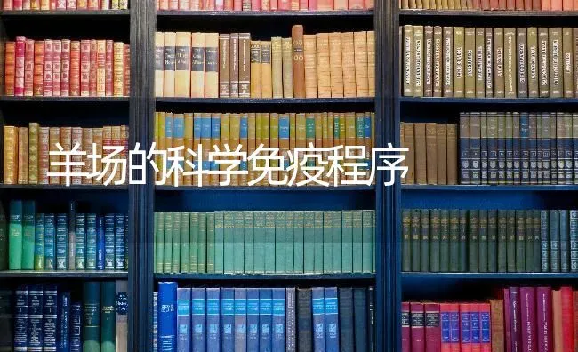 羊场的科学免疫程序 | 家畜养殖