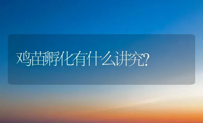 鸡苗孵化有什么讲究？ | 家禽养殖