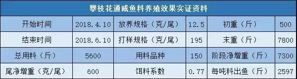 罗非鱼养殖吨料出鱼1700斤，亩利润高达17433元！