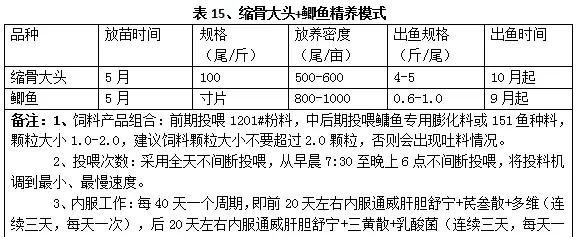 鲫鱼黑鱼加州鲈黄颡鱼海鲈鱼石斑鱼养殖模式推荐