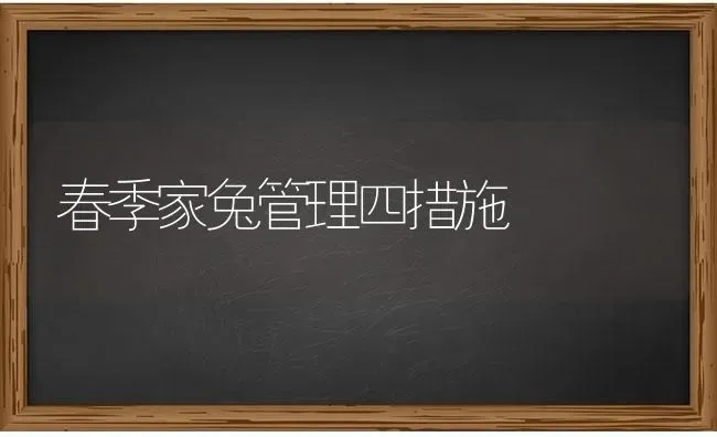 春季家兔管理四措施 | 家畜养殖