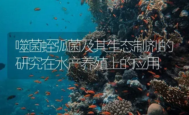 噬菌蛭弧菌及其生态制剂的研究在水产养殖上的应用 | 养殖病虫害防治