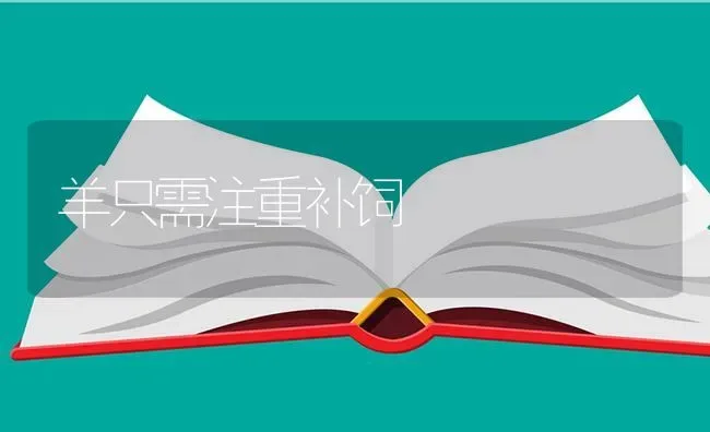 羊只需注重补饲 | 家畜养殖