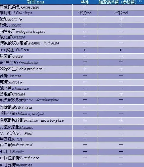 黄颡鱼“裂头病”细菌性病原的分离与鉴定