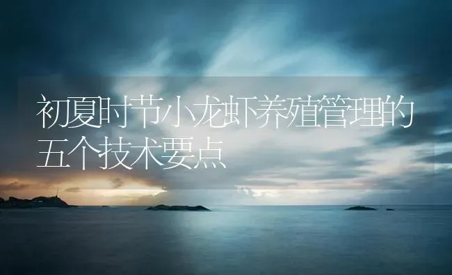 初夏时节小龙虾养殖管理的五个技术要点 | 海水养殖