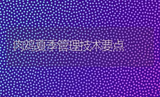 肉鸡夏季管理技术要点 | 家禽养殖