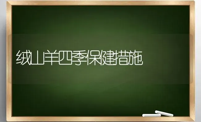 绒山羊四季保健措施 | 家畜养殖
