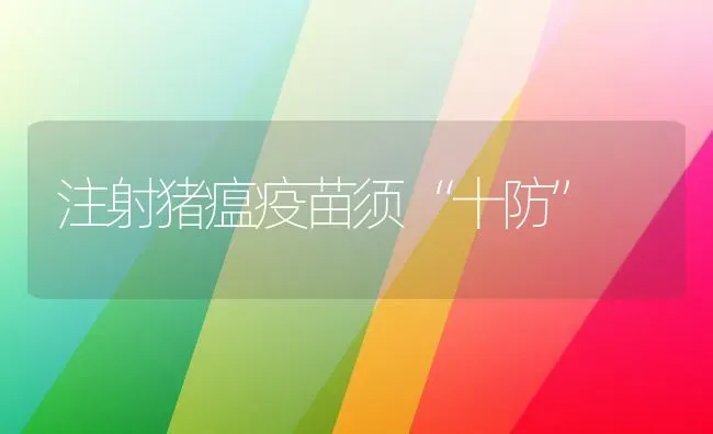 注射猪瘟疫苗须“十防” | 家畜养殖