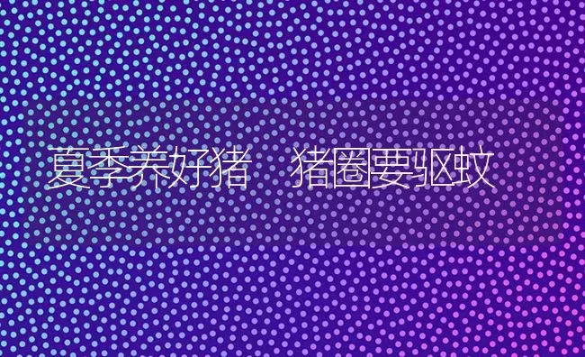 夏季养好猪 猪圈要驱蚊 | 家畜养殖