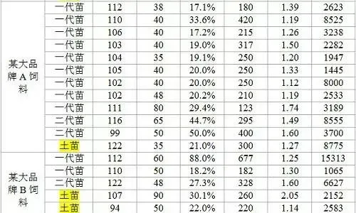 粤海一代对虾苗助力珠三角冬棚虾养殖户丰收