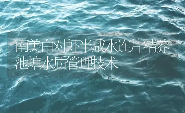 南美白对虾半咸水连片精养池塘水质管理技术 | 海水养殖