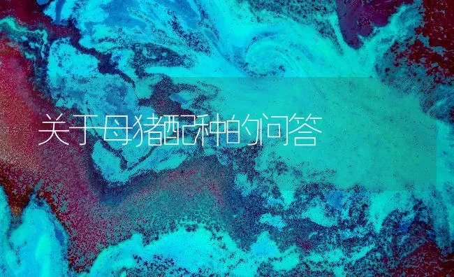 关于母猪配种的问答 | 家畜养殖