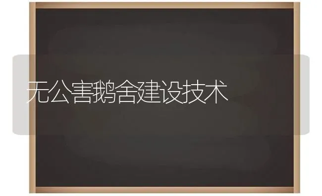 无公害鹅舍建设技术 | 家禽养殖