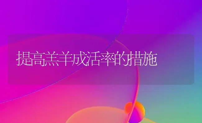 提高羔羊成活率的措施 | 家畜养殖